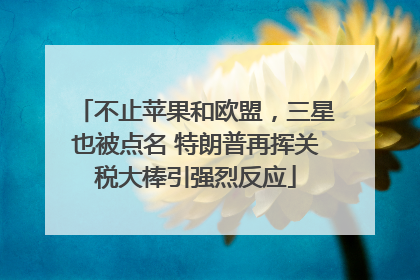不止苹果和欧盟，三星也被点名 特朗普再挥关税大棒引强烈反应