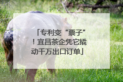 专利变“票子”！宜昌茶企凭它撬动千万出口订单