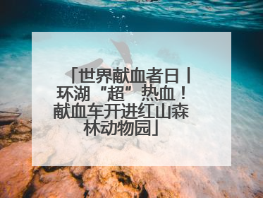 世界献血者日丨环湖“超”热血！献血车开进红山森林动物园
