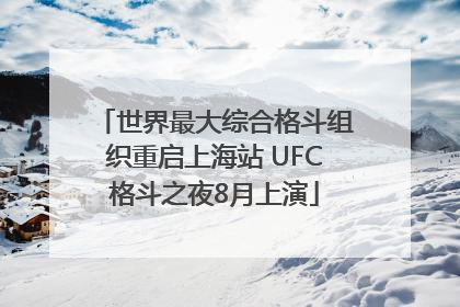 世界最大综合格斗组织重启上海站 UFC格斗之夜8月上演