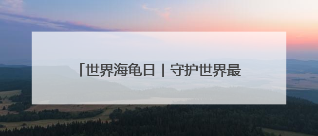 世界海龟日丨守护世界最大海龟产卵 特多“守夜人”坚守海滩30多年