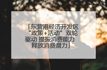 东营港经济开发区“政策+活动”双轮驱动 提振消费能力 释放消费潜力