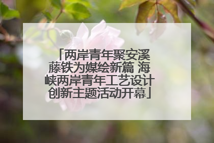 两岸青年聚安溪 藤铁为媒绘新篇 海峡两岸青年工艺设计创新主题活动开幕