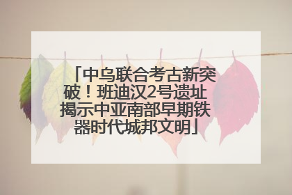 中乌联合考古新突破！班迪汉2号遗址揭示中亚南部早期铁器时代城邦文明