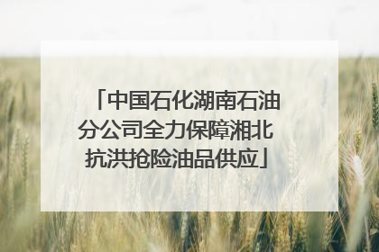 中国石化湖南石油分公司全力保障湘北抗洪抢险油品供应