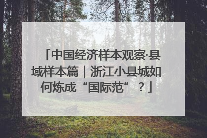 中国经济样本观察·县域样本篇｜浙江小县城如何炼成“国际范”？