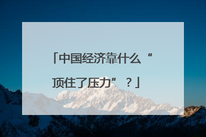 中国经济靠什么“顶住了压力”？