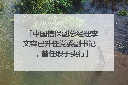 中国信保副总经理李文森已升任党委副书记，曾任职于央行