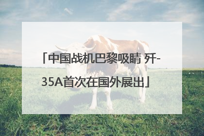 中国战机巴黎吸睛 歼-35A首次在国外展出