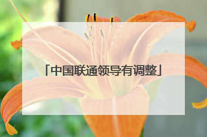 中国联通领导有调整