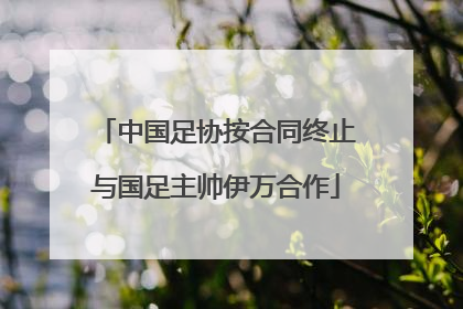中国足协按合同终止与国足主帅伊万合作
