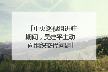 中央巡视组进驻期间，吴建平主动向组织交代问题