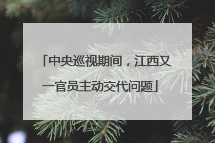 中央巡视期间，江西又一官员主动交代问题