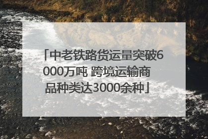 中老铁路货运量突破6000万吨 跨境运输商品种类达3000余种