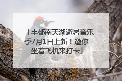 丰都南天湖避暑音乐季7月1日上新！邀你坐着飞机来打卡