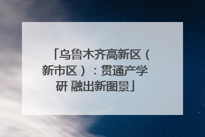 乌鲁木齐高新区（新市区）：贯通产学研 融出新图景