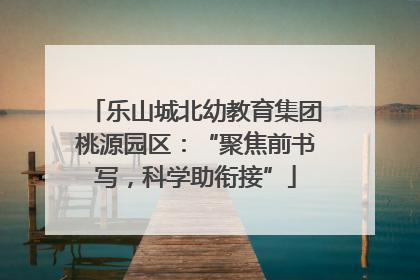 乐山城北幼教育集团桃源园区：“聚焦前书写，科学助衔接”