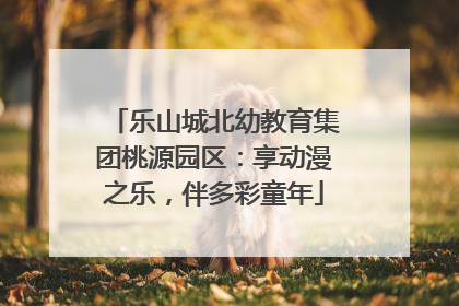 乐山城北幼教育集团桃源园区：享动漫之乐，伴多彩童年