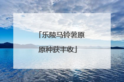 乐陵马铃薯原原种获丰收