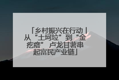 乡村振兴在行动丨从“土坷垃”到“金疙瘩” 卢龙甘薯串起富民产业链
