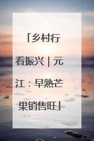 乡村行 看振兴｜元江：早熟芒果销售旺