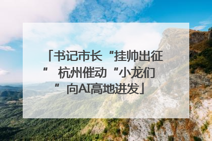 书记市长“挂帅出征” 杭州催动“小龙们”向AI高地进发