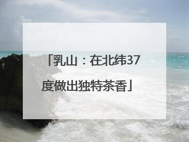 乳山：在北纬37度做出独特茶香