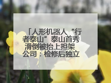 人形机器人“行者泰山”泰山首秀滑倒被抬上担架 公司：检修后独立下山 测试就是为暴露问题