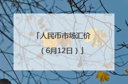 人民币市场汇价（6月12日）