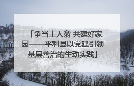 争当主人翁 共建好家园——平利县以党建引领基层善治的生动实践