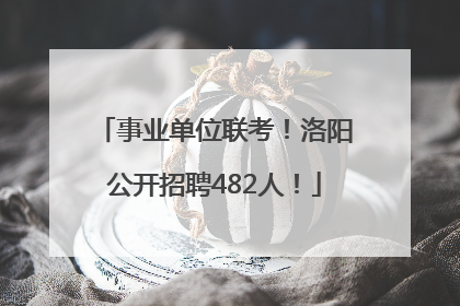 事业单位联考！洛阳公开招聘482人！