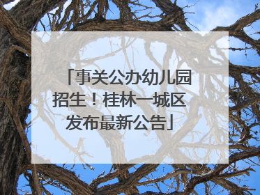 事关公办幼儿园招生！桂林一城区发布最新公告