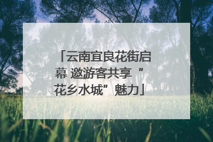 云南宜良花街启幕 邀游客共享“花乡水城”魅力