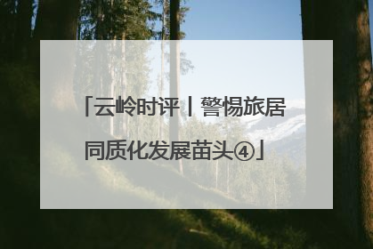 云岭时评丨警惕旅居同质化发展苗头④