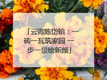 云霄陈岱镇：一砖一瓦筑家园 一步一景绘新颜