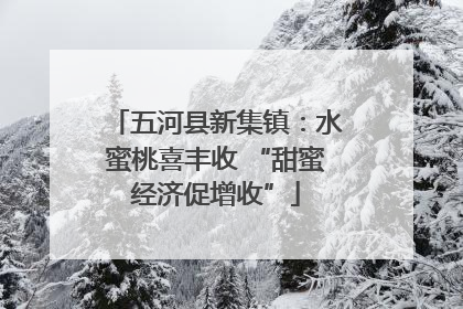 五河县新集镇：水蜜桃喜丰收 “甜蜜经济促增收”