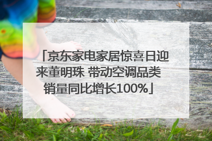 京东家电家居惊喜日迎来董明珠 带动空调品类销量同比增长100%