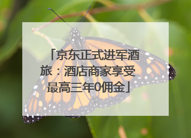 京东正式进军酒旅：酒店商家享受最高三年0佣金