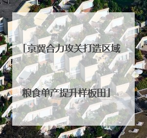 京冀合力攻关打造区域粮食单产提升样板田