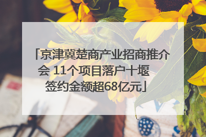京津冀楚商产业招商推介会 11个项目落户十堰 签约金额超68亿元