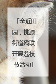 亲近田园，桃源街道残联开展荔枝节活动