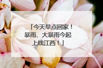 今天早点回家！暴雨、大暴雨今起上线江西！