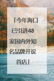 今年海口已引进48家国内外知名品牌开设首店