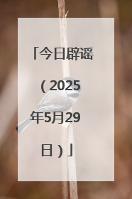 今日辟谣（2025年5月29日）