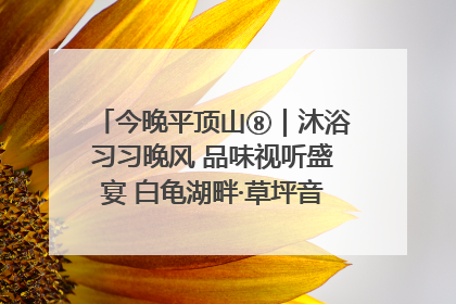 今晚平顶山⑧｜沐浴习习晚风 品味视听盛宴 白龟湖畔·草坪音乐会激情上演