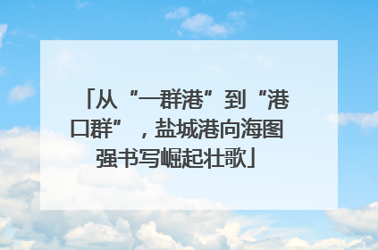 从“一群港”到“港口群”，盐城港向海图强书写崛起壮歌
