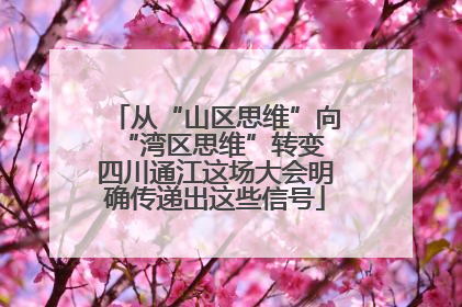 从“山区思维”向“湾区思维”转变 四川通江这场大会明确传递出这些信号