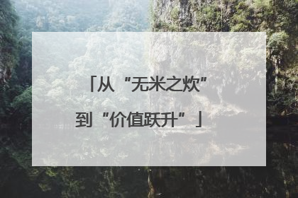 从“无米之炊”到“价值跃升”