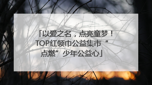 以爱之名，点亮童梦！TOP红领巾公益集市“点燃”少年公益心