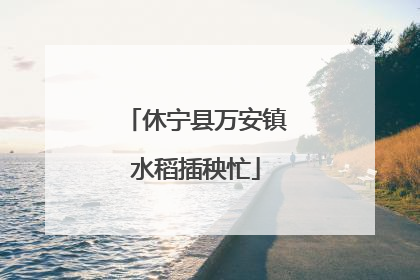 休宁县万安镇水稻插秧忙